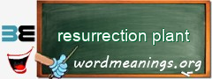 WordMeaning blackboard for resurrection plant